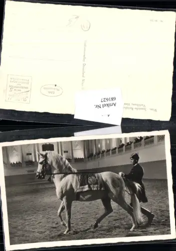 681627 Wien Spanische Hofreitschule Pferd Lipizzaner