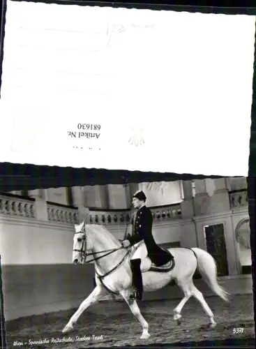 681630 Wien Spanische Hofreitschule Pferd Lipizzaner