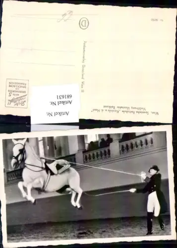 681631 Wien Spanische Hofreitschule Pferd Lipizzaner
