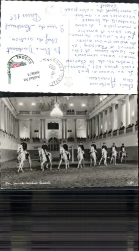 690875 Wien Innere Stadt Spanische Reitschule Lipizzaner Pferd
