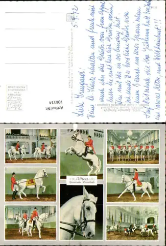 706114 Wien Spanische Hofreitschule Lipizzaner Pferd