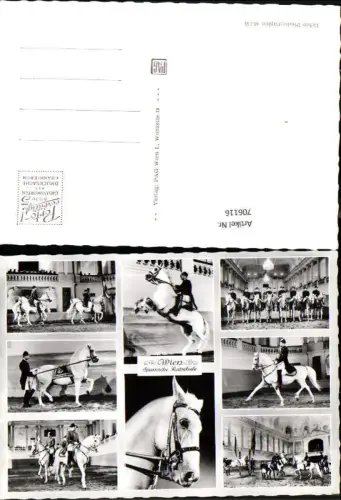 706116 Wien Spanische Hofreitschule Lipizzaner Pferd
