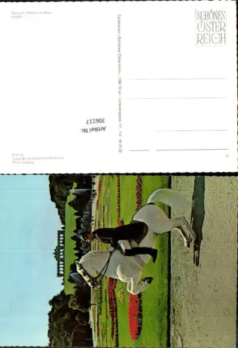 706117 Wien Spanische Hofreitschule Lipizzaner Pferd