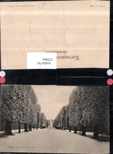 225064,Wien Hietzing Schönbrunn Allee