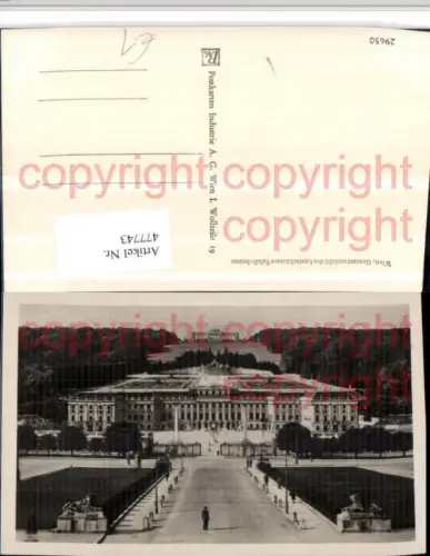 477743,Wien Hietzing Schloss Schönbrunn Totale m. Gloriette