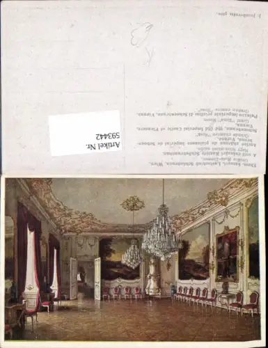 593442,Künstler AK J. Jaunbersin Wien Hietzing Schönbrunn