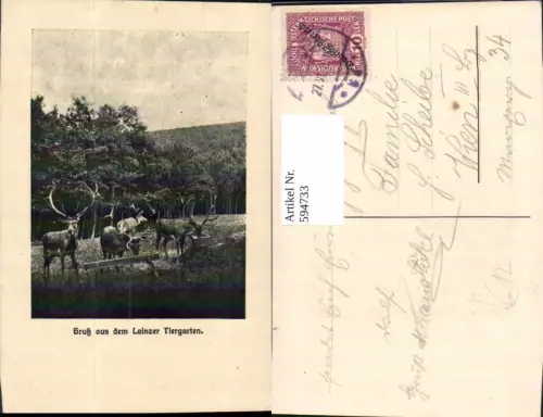 594733,Wien Hietzing Lainzer Tiergarten Wild Hirsch Vienna