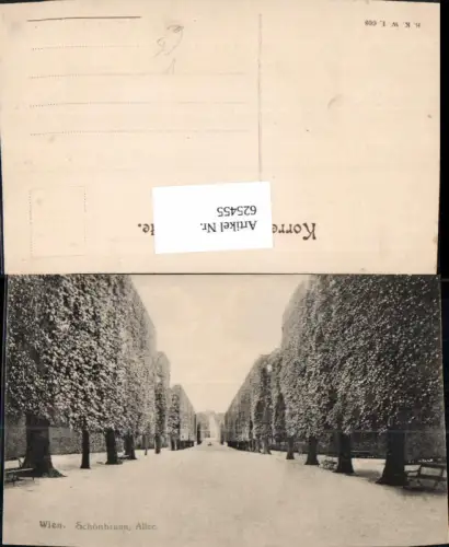 625455,Wien Hietzing Schloss Schönbrunn Allee Bäume pub B.K.W.I. 608