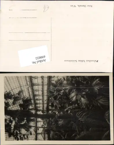 690032 Wien Hietzing Schönbrunn Palmenhaus