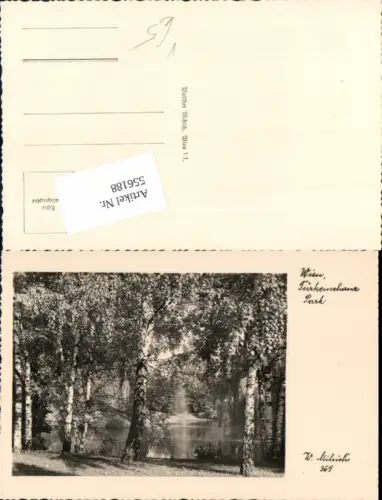 556188,Foto-AK Wien Währing Türkenschankpark Birken Bäume pub Milich 369
