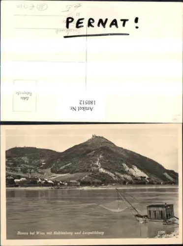 180512,Wien 19 Donau b. Wien m. Kahlenberg u. Leopoldsberg Fischernetz Fischer