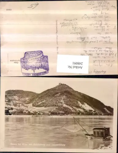 248091,Wien Döbling Donau b. Wien m. Kahlenberg u. Leopoldsberg Fischnetz