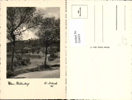 554653,tolle Foto-AK Wien Döbling Kahlenberg pub W. Mihich