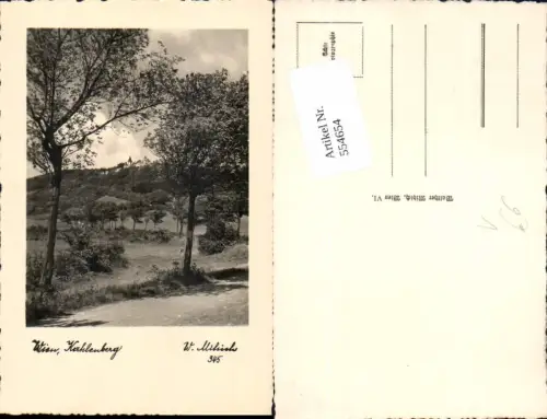 554654,tolle Foto-AK Wien Döbling Kahlenberg pub W. Mihich