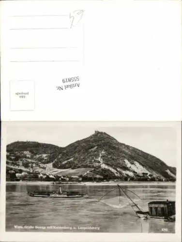 555819,Wien Döbling Dampfer Donau Leopoldsberg Kahlenberg