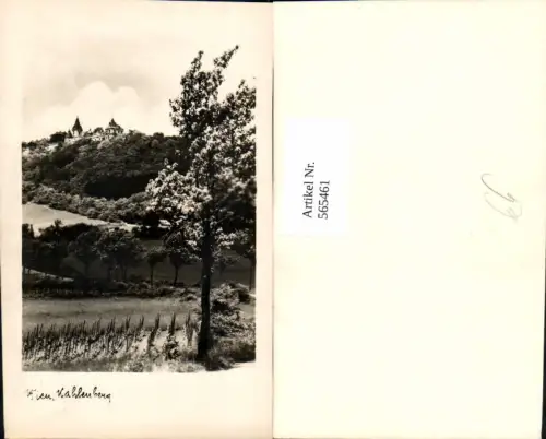 565461,Wien Döbling Leopoldsberg Kahlenberg