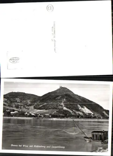 716198 Wien Döbling Donau bei Kahlenbergerdorf kahlenberg Leopoldsberg