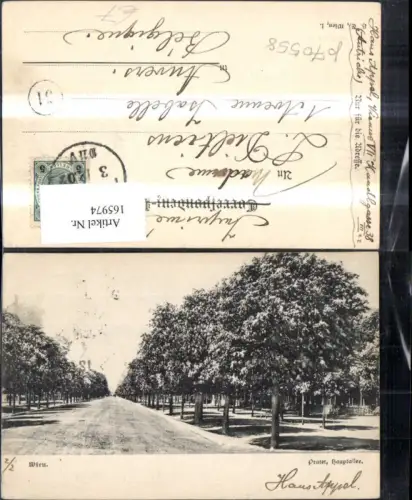 165974,Wien 2 Leopoldstadt Prater Hauptallee 1902