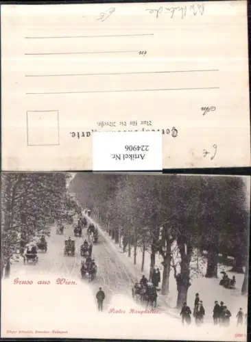 224906,Wien Leopoldstadt Prater Hauptallee Allee Kutschen