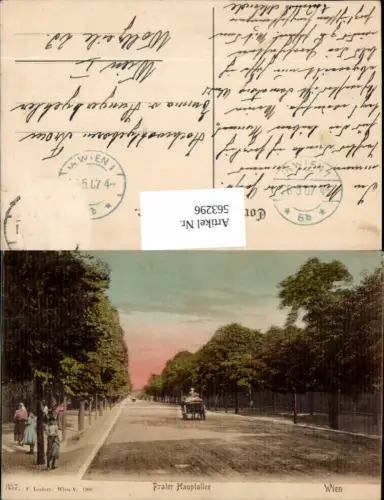 563296,tolle AK Wien Leopoldstadt Prater Hauptallee Kutsche pub Ledermann 357