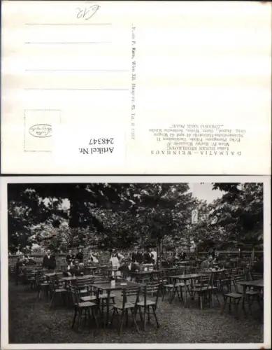 248347,Wien Wieden Dalmatia Weinhaus Terrasse