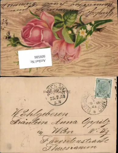 609586,Stempel Bisenz Bzenec n. Wien Neubau 1903