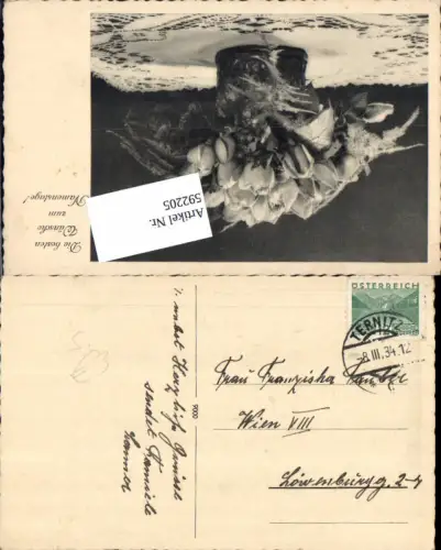 592205,Postkarte Stempel Ternitz n. Wien 8 Josefstadt
