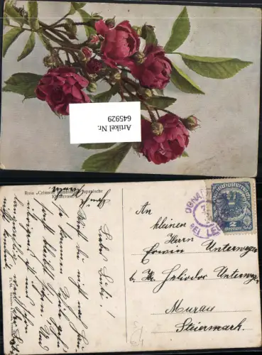 645929,Stempel Donawitz bei Leoben n. Murau 1921