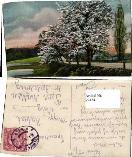 79434,Postkarte gel. Wien 12 n. Ang Mattsee Salzburg 1918