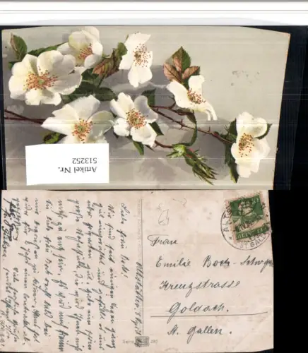 513252,Stempel Altstätten St. Gallen 1924