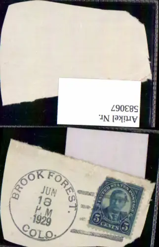 583067,Briefmarke Stamp 1929 Brook Forest Colorado
