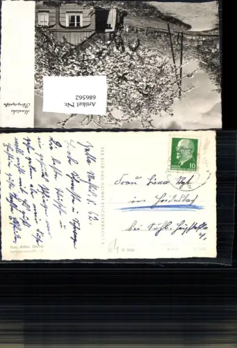 686562 Stempel Zella Mählich Seidenbach Seidensbach