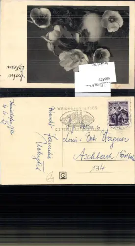 686577 Stempel Waidhofen an der Ybbs gel.n. Aschbach an der Westbahn 1958