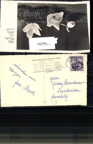 686594 Stempel Wien gel.n. Wennkirchen