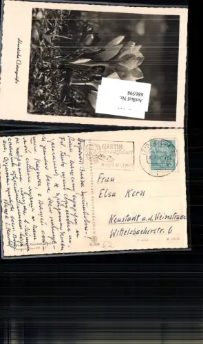 686598 Stempel Leipzig gel.n. Neustadt an der Weinstrasse