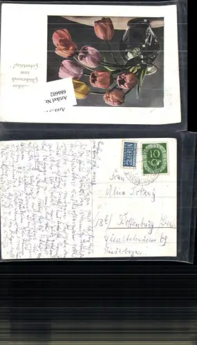 686602 Stempel Neuburg gel.n. Raffenburg