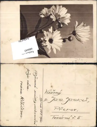 686645 Stempel Brno Brünn gel.n. Prerov Prerau 1945