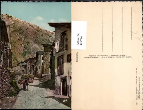 449786,Andorra Canillo Vista parcial Straßenansicht Esel