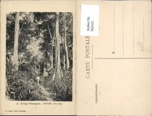 562415,Africa Congo Francais Kongo Banghi Sous Bois