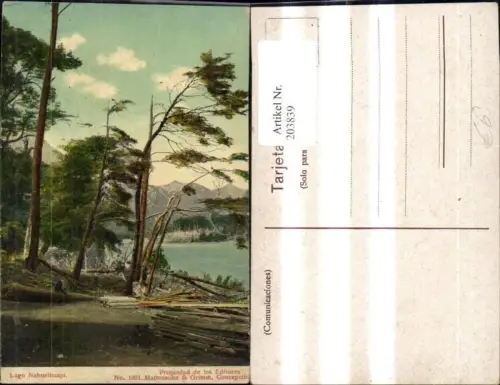 203839,Lago Nahuelhuapi Nahuel Huapi See