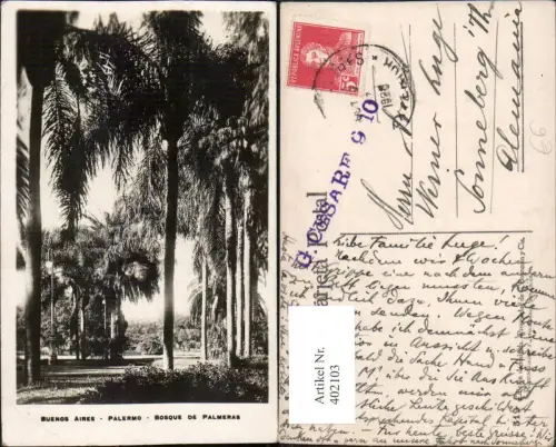 402103,Argentina Buenos Aires Palermo Bosque de Palmeras Palmen