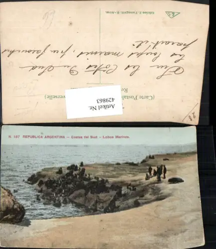 429863,Argentina Costas del Sud Lobos Marinos Küste