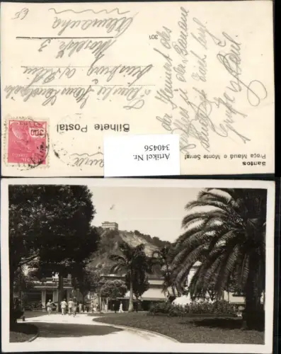 340456,Santos Praca Maua e Monte Serrat Palmen