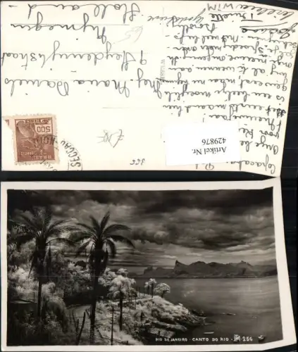 429876,Brazil Rio de Janeiro Canto do Rio Küste Ufer Palmen