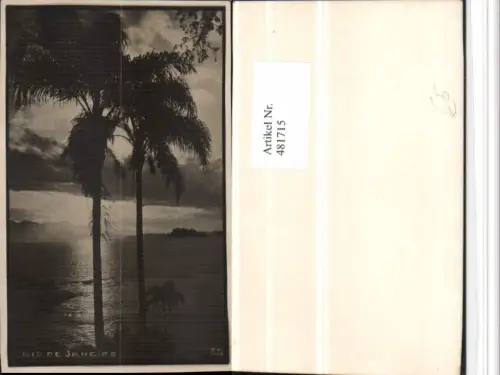 481715,Brazil Rio de Janeiro Stimmungsbild Palmen