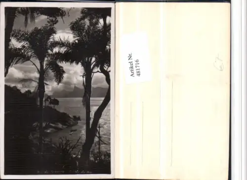 481716,Brazil Rio de Janeiro Conta de Aulo Küste Palmen
