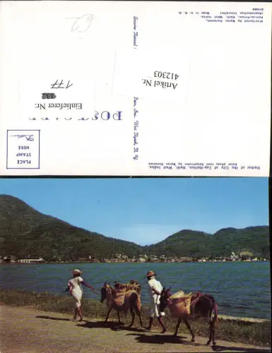 412303,Haiti Harbor of the City of Cap-Haitien Volkstypen Eseln