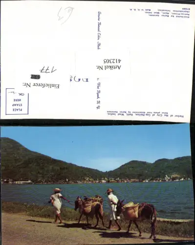 412305,Haiti Harbor of the City of Cap-Haitien Volkstypen Eseln