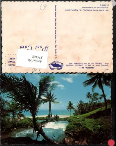 375168,Jamaica Tropical view out to the Caribbean Sea Strand Palmen