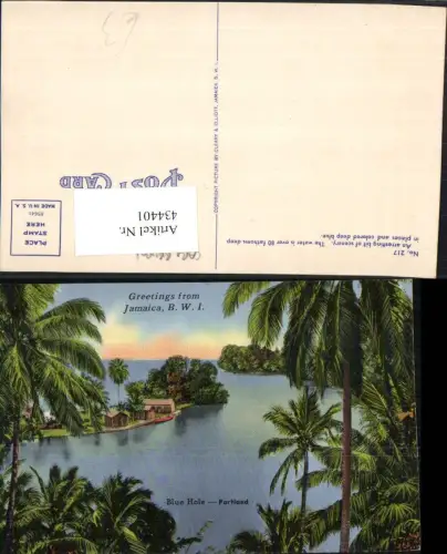 434401,Jamaica Blue Hole Portland Palmen